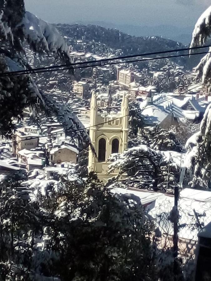 Simla View Bed & Breakfast エクステリア 写真